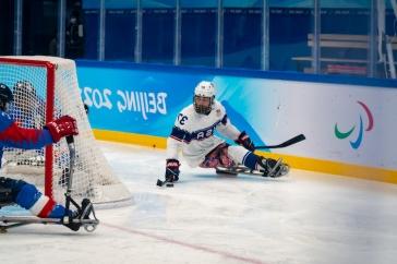 Sled hockey player behind goal